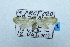  ( - USNM ENT 00514709)  @12 [ ] Unspecified (default): All Rights Reserved  Unspecified Unspecified