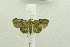  ( - USNM ENT 00514740)  @13 [ ] Unspecified (default): All Rights Reserved  Unspecified Unspecified