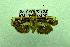  ( - USNM ENT 00514747)  @12 [ ] Unspecified (default): All Rights Reserved  Unspecified Unspecified