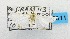  (Cirrhochrista sp. ACE5810 - USNM ENT 00662703)  @13 [ ] Unspecified (default): All Rights Reserved  Unspecified Unspecified