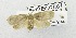  (Acria sciogramma - USNM ENT 00667682)  @13 [ ] Unspecified (default): All Rights Reserved  Unspecified Unspecified