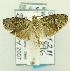  ( - USNM ENT 00668011)  @12 [ ] Unspecified (default): All Rights Reserved  Unspecified Unspecified