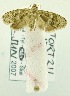  ( - USNM ENT 00668014)  @12 [ ] Unspecified (default): All Rights Reserved  Unspecified Unspecified
