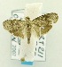  ( - USNM ENT 00668035)  @12 [ ] Unspecified (default): All Rights Reserved  Unspecified Unspecified