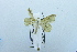  ( - USNM ENT 00668684)  @12 [ ] Unspecified (default): All Rights Reserved  Unspecified Unspecified