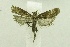  ( - USNM ENT 00682581)  @13 [ ] Unspecified (default): All Rights Reserved  Unspecified Unspecified