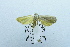  ( - USNM ENT 00682683)  @13 [ ] Unspecified (default): All Rights Reserved  Unspecified Unspecified