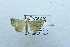  ( - USNM ENT 00697292)  @13 [ ] Unspecified (default): All Rights Reserved  Unspecified Unspecified