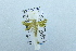  ( - USNM ENT 00701695)  @12 [ ] Unspecified (default): All Rights Reserved  Unspecified Unspecified
