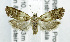  ( - USNM ENT 01067928)  @13 [ ] Unspecified (default): All Rights Reserved  Unspecified Unspecified