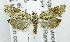  ( - USNM ENT 01067930)  @12 [ ] Unspecified (default): All Rights Reserved  Unspecified Unspecified