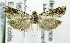  ( - USNM ENT 01067932)  @12 [ ] Unspecified (default): All Rights Reserved  Unspecified Unspecified