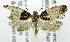  ( - USNM ENT 01067936)  @13 [ ] Unspecified (default): All Rights Reserved  Unspecified Unspecified