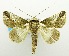  ( - USNM ENT 00706868)  @11 [ ] Unspecified (default): All Rights Reserved  Unspecified Unspecified