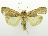 ( - USNM ENT 00706910)  @14 [ ] Unspecified (default): All Rights Reserved  Unspecified Unspecified