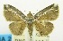  ( - USNM ENT 00706931)  @11 [ ] Unspecified (default): All Rights Reserved  Unspecified Unspecified