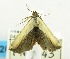  ( - USNM ENT 00706938)  @13 [ ] Unspecified (default): All Rights Reserved  Unspecified Unspecified