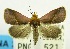  ( - USNM ENT 00706955)  @13 [ ] Unspecified (default): All Rights Reserved  Unspecified Unspecified