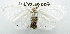 (ErebidaeGEN sp. ACT0909 - USNM ENT 00711358)  @14 [ ] Unspecified (default): All Rights Reserved  Unspecified Unspecified