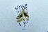  ( - USNM ENT 00719407)  @12 [ ] Unspecified (default): All Rights Reserved  Unspecified Unspecified