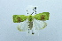  ( - USNM ENT 00719414)  @13 [ ] Unspecified (default): All Rights Reserved  Unspecified Unspecified