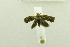  ( - USNM ENT 00719423)  @12 [ ] Unspecified (default): All Rights Reserved  Unspecified Unspecified