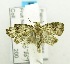  ( - USNM ENT 00720674)  @12 [ ] Unspecified (default): All Rights Reserved  Unspecified Unspecified