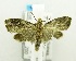  ( - USNM ENT 00720704)  @12 [ ] Unspecified (default): All Rights Reserved  Unspecified Unspecified