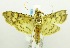 ( - USNM ENT 00721110)  @12 [ ] Unspecified (default): All Rights Reserved  Unspecified Unspecified