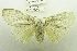  ( - USNM ENT 00731678)  @11 [ ] Unspecified (default): All Rights Reserved  Unspecified Unspecified