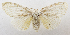  ( - USNM ENT 00731678a)  @14 [ ] Unspecified (default): All Rights Reserved  Unspecified Unspecified