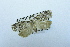  ( - USNM ENT 00731797)  @13 [ ] Unspecified (default): All Rights Reserved  Unspecified Unspecified
