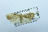  ( - USNM ENT 00731805)  @13 [ ] Unspecified (default): All Rights Reserved  Unspecified Unspecified