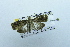  ( - USNM ENT 00731811)  @12 [ ] Unspecified (default): All Rights Reserved  Unspecified Unspecified