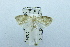 ( - USNM ENT 00731871)  @13 [ ] Unspecified (default): All Rights Reserved  Unspecified Unspecified