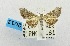  ( - USNM ENT 00731970)  @13 [ ] Unspecified (default): All Rights Reserved  Unspecified Unspecified
