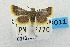  (Hypsopygia postflava - USNM ENT 00732022)  @13 [ ] Unspecified (default): All Rights Reserved  Unspecified Unspecified