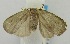  ( - USNM ENT 00732144)  @14 [ ] Unspecified (default): All Rights Reserved  Unspecified Unspecified