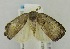  ( - USNM ENT 00732147)  @13 [ ] Unspecified (default): All Rights Reserved  Unspecified Unspecified