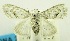  ( - USNM ENT 00732337)  @11 [ ] Unspecified (default): All Rights Reserved  Unspecified Unspecified