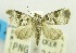  ( - USNM ENT 00732417)  @11 [ ] Unspecified (default): All Rights Reserved  Unspecified Unspecified