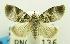  ( - USNM ENT 00732421)  @11 [ ] Unspecified (default): All Rights Reserved  Unspecified Unspecified