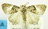  ( - USNM ENT 00732498)  @11 [ ] Unspecified (default): All Rights Reserved  Unspecified Unspecified