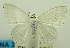  ( - USNM ENT 00732611)  @11 [ ] Unspecified (default): All Rights Reserved  Unspecified Unspecified