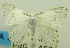  ( - USNM ENT 00732612)  @11 [ ] Unspecified (default): All Rights Reserved  Unspecified Unspecified