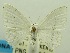  ( - USNM ENT 00732613)  @11 [ ] Unspecified (default): All Rights Reserved  Unspecified Unspecified