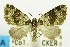  ( - USNM ENT 00732619)  @11 [ ] Unspecified (default): All Rights Reserved  Unspecified Unspecified