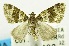  ( - USNM ENT 00732620)  @11 [ ] Unspecified (default): All Rights Reserved  Unspecified Unspecified