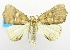  ( - USNM ENT 00732759)  @12 [ ] Unspecified (default): All Rights Reserved  Unspecified Unspecified