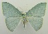  ( - USNM ENT 00732891)  @11 [ ] Unspecified (default): All Rights Reserved  Unspecified Unspecified